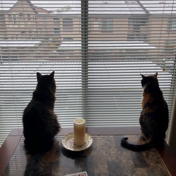 ✨Thank you for shopping✨ - Picture 8 of 9